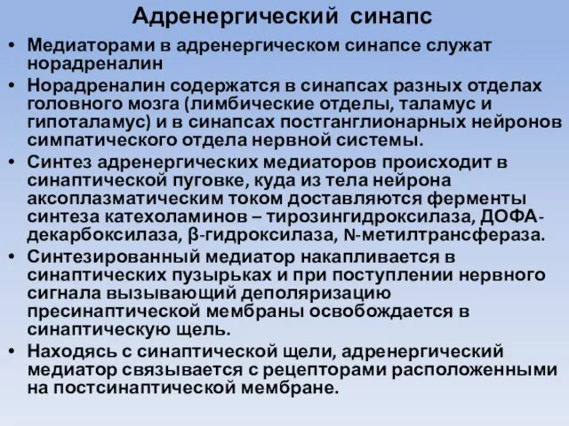 Адренергический синапс Медиаторами в адренергическом синапсе служат норадреналин Норадреналин содержатся в