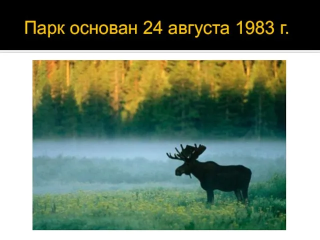 Парк основан 24 августа 1983 г.