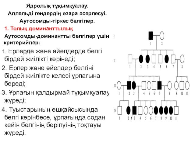 Ядролық тұқымқуалау. Аллельді гендердің өзара әсерлесуі. Аутосомды-тіркес белгілер. 1. Толық доминанттылық