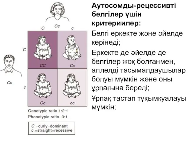 Аутосомды-рецессивті белгілер үшін критериилер: Белгі еркекте және әйелде көрінеді; Еркекте де