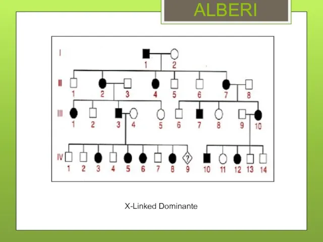 ALBERI X-Linked Dominante