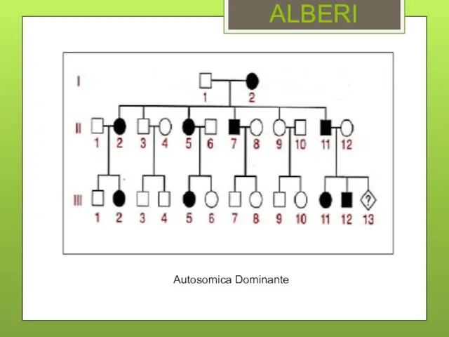 ALBERI Autosomica Dominante