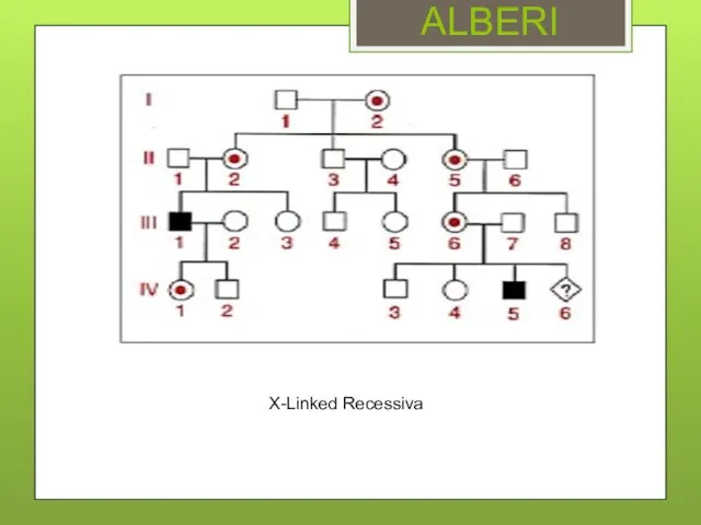 ALBERI X-Linked Recessiva