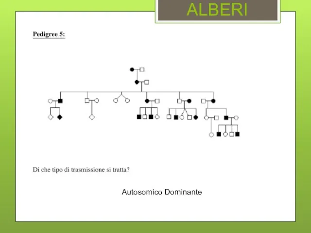 ALBERI Autosomico Dominante