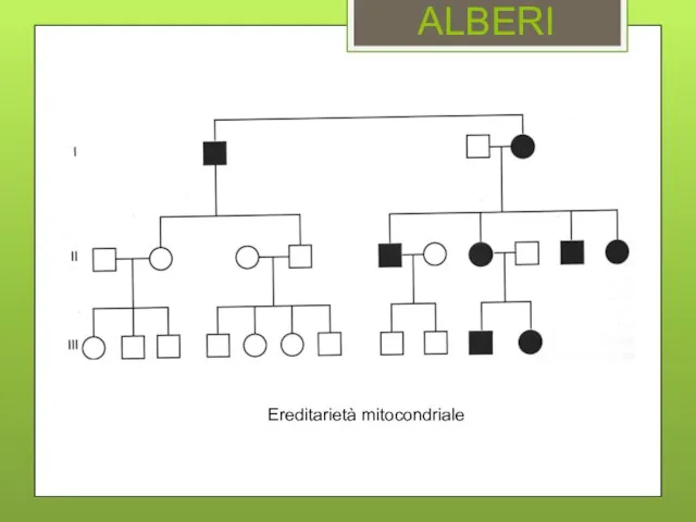 ALBERI Ereditarietà mitocondriale