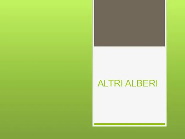 ALTRI ALBERI