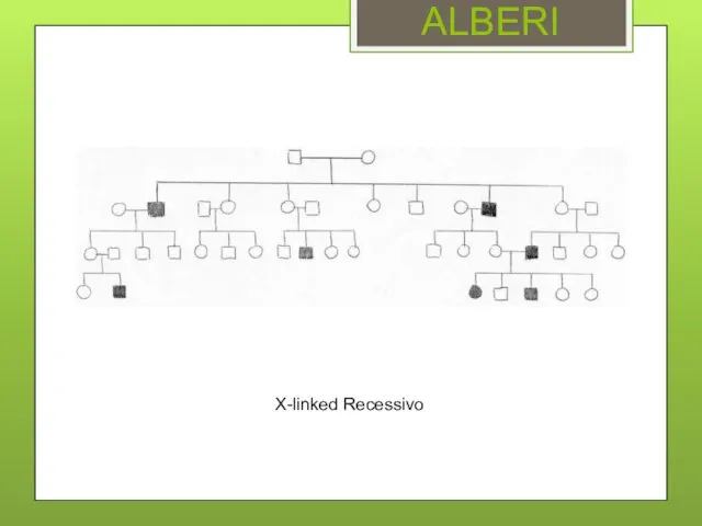 ALBERI X-linked Recessivo