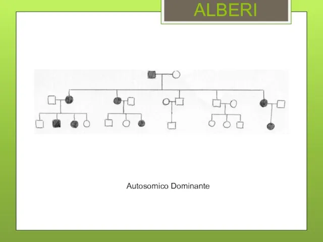 ALBERI Autosomico Dominante