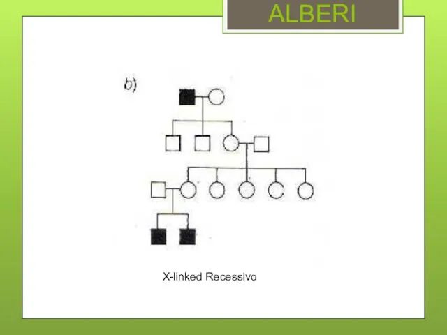 ALBERI X-linked Recessivo