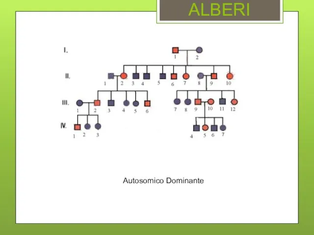 ALBERI Autosomico Dominante