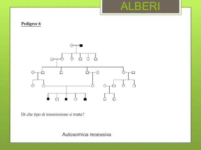 ALBERI Autosomica recessiva