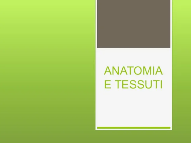 ANATOMIA E TESSUTI