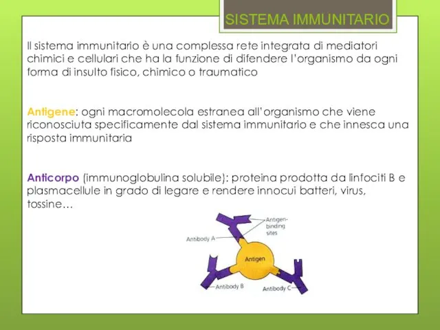 SISTEMA IMMUNITARIO Il sistema immunitario è una complessa rete integrata di