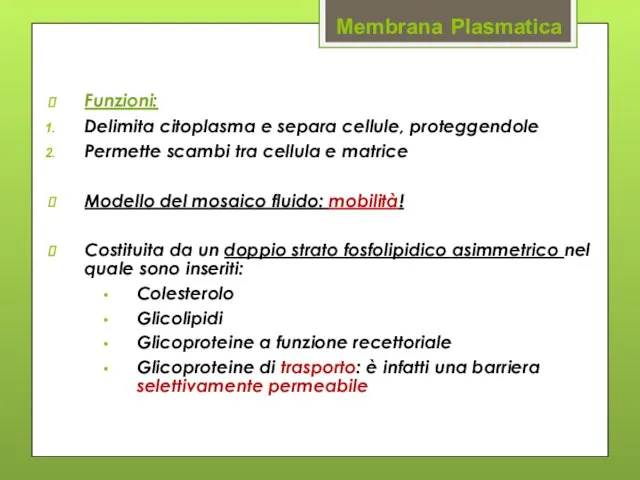 Membrana Plasmatica Funzioni: Delimita citoplasma e separa cellule, proteggendole Permette scambi