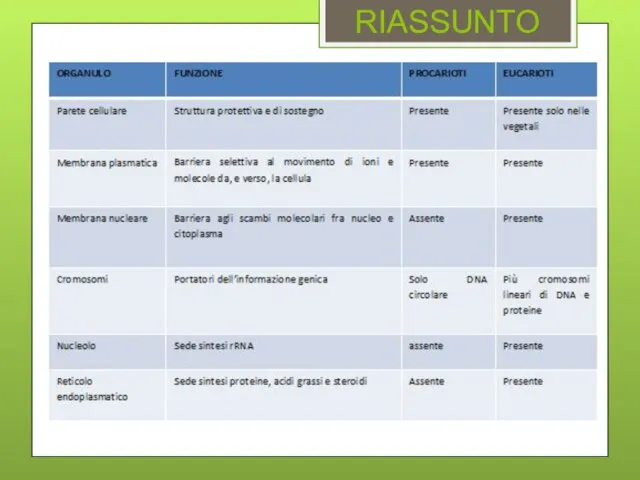 RIASSUNTO