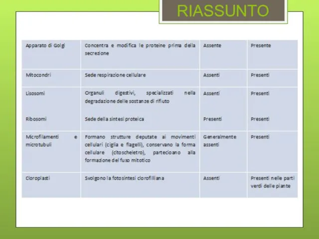 RIASSUNTO