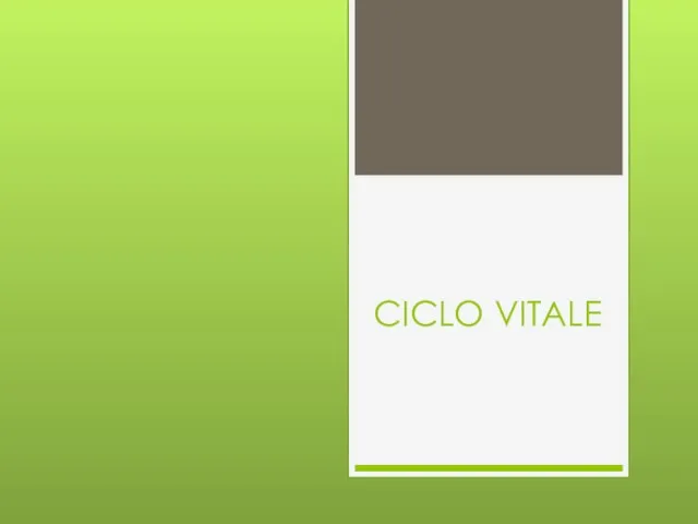 CICLO VITALE