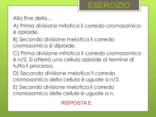 ESERCIZIO Alla fine della… A) Prima divisione mitotica il corredo cromosomico