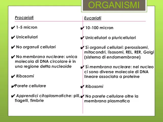 ORGANISMI Procarioti 1-5 micron Unicellulari No organuli cellulari No membrana nucleare: