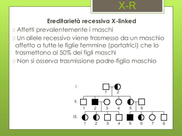 X-R Ereditarietà recessiva X-linked Affetti prevalentemente i maschi Un allele recessivo