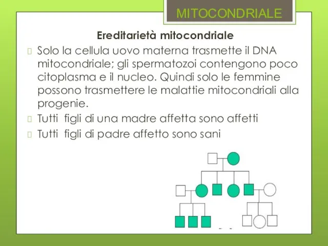 MITOCONDRIALE Ereditarietà mitocondriale Solo la cellula uovo materna trasmette il DNA