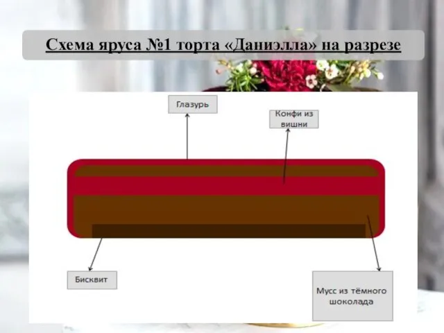 Схема яруса №1 торта «Даниэлла» на разрезе