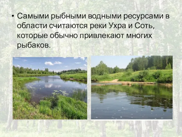 Самыми рыбными водными ресурсами в области считаются реки Ухра и Соть, которые обычно привлекают многих рыбаков.