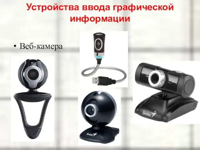 Веб-камера Устройства ввода графической информации