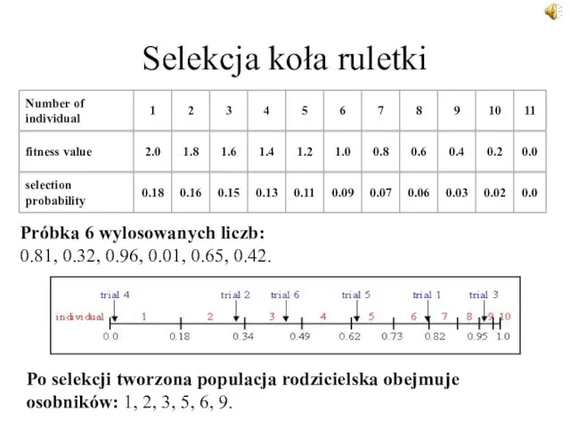 Selekcja koła ruletki Próbka 6 wylosowanych liczb: 0.81, 0.32, 0.96, 0.01,