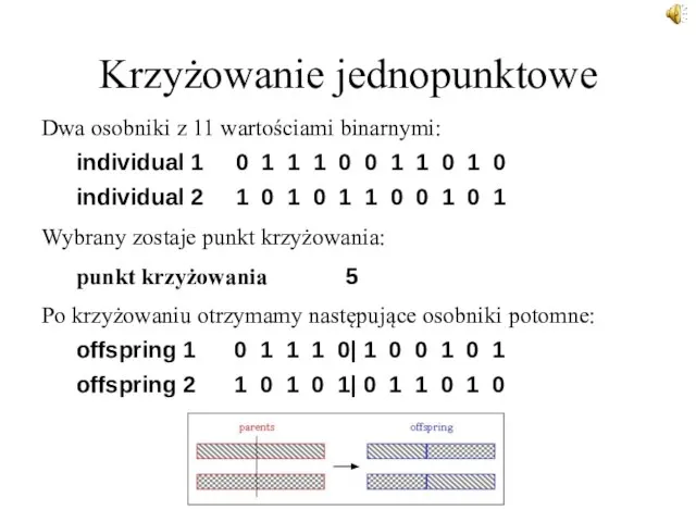 Krzyżowanie jednopunktowe Dwa osobniki z 11 wartościami binarnymi: individual 1 0