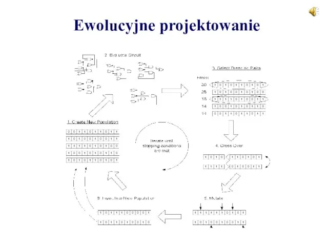 Ewolucyjne projektowanie