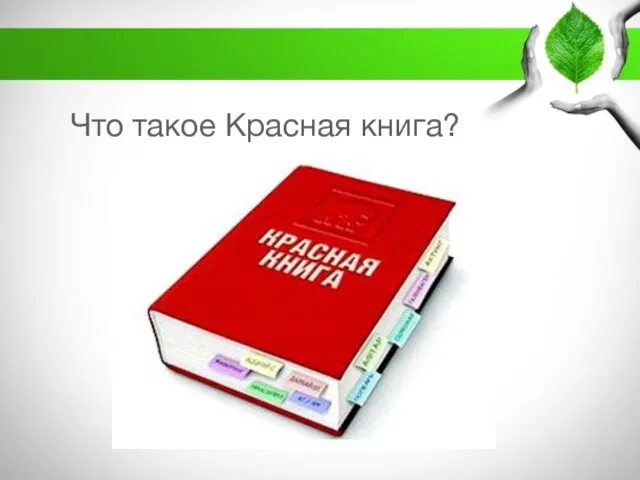 Что такое Красная книга?