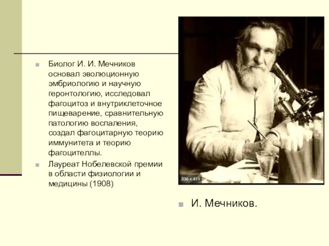 Биолог И. И. Мечников основал эволюционную эмбриологию и научную геронтологию, исследовал