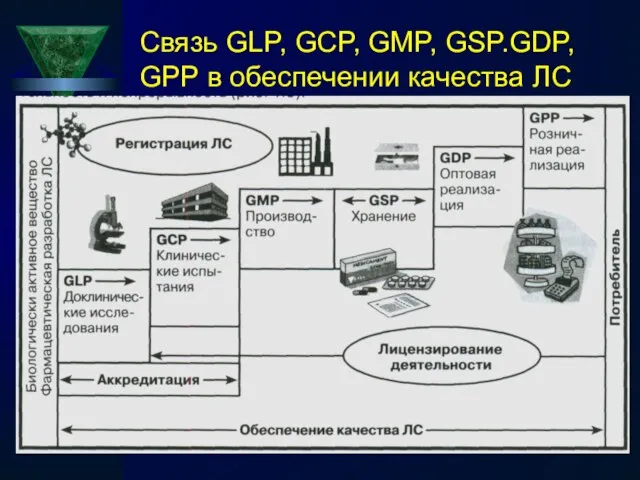 Связь GLP, GCP, GMP, GSP.GDP, GPP в обеспечении качества ЛС