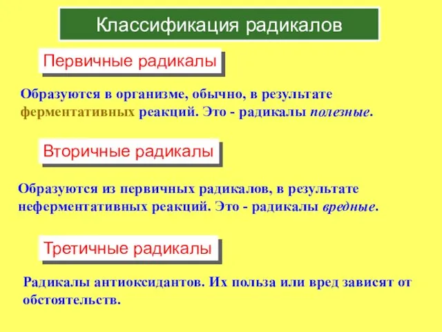 Классификация радикалов Образуются в организме, обычно, в результате ферментативных реакций. Это