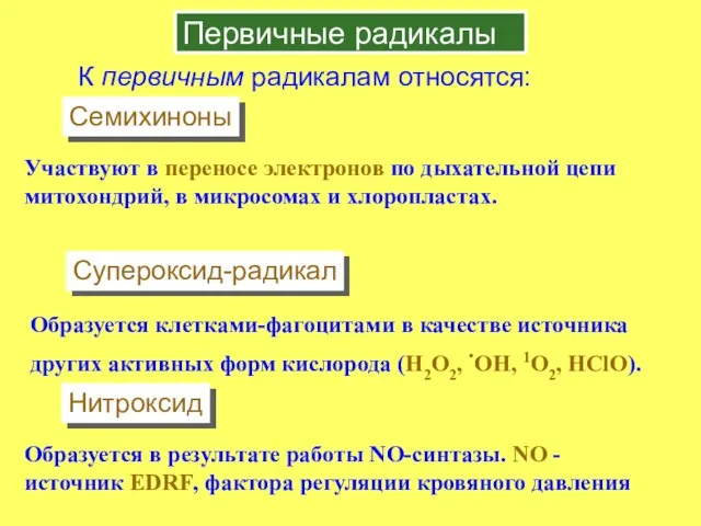 Первичные радикалы К первичным радикалам относятся: Участвуют в переносе электронов по