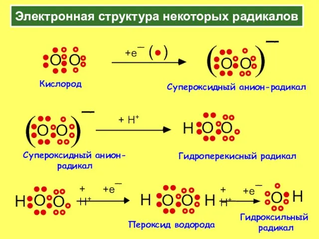 Электронная структура некоторых радикалов Гидроперекисный радикал Кислород Супероксидный анион-радикал +e¯ (