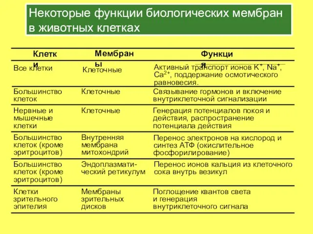 Некоторые функции биологических мембран в животных клетках