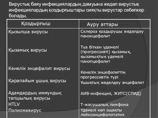 Вирустық баяу инфекциялардың дамуына жедел вирустық инфекциялардың қоздырғыштары сияқты вирустар себепкер болады.