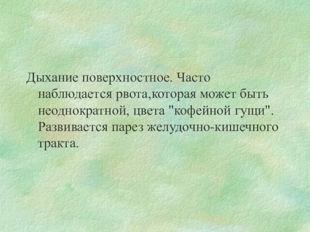 Дыхание поверхностное. Часто наблюдается рвота,которая может быть неоднократной, цвета "кофейной гущи". Развивается парез желудочно-кишечного тракта.