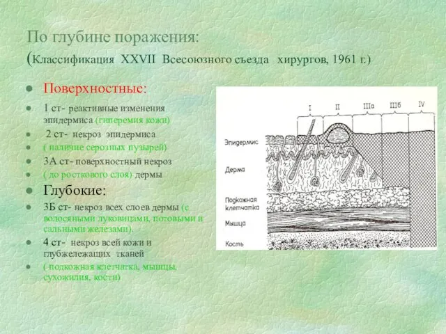 По глубине поражения: (Классификация XXVII Всесоюзного съезда хирургов, 1961 г.) Поверхностные: