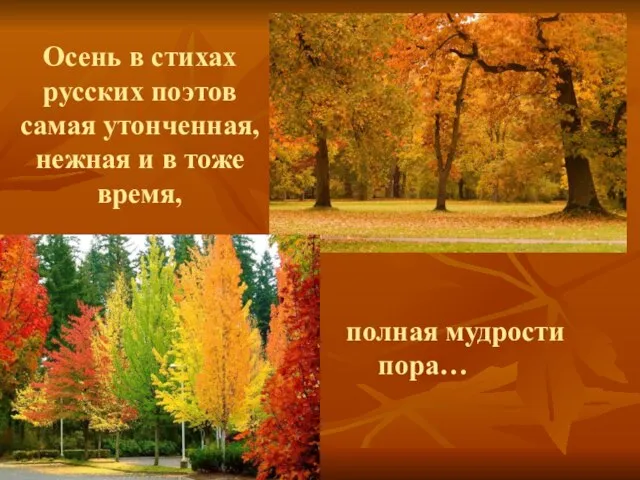 Осень в стихах русских поэтов самая утонченная, нежная и в тоже время, полная мудрости пора…