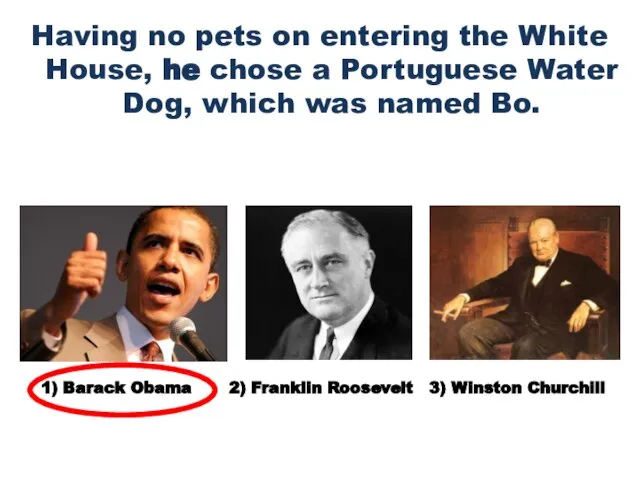 Having no pets on entering the White House, he chose a
