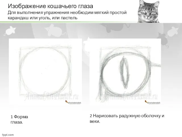 Изображение кошачьего глаза Для выполнения упражнения необходим мягкий простой карандаш или