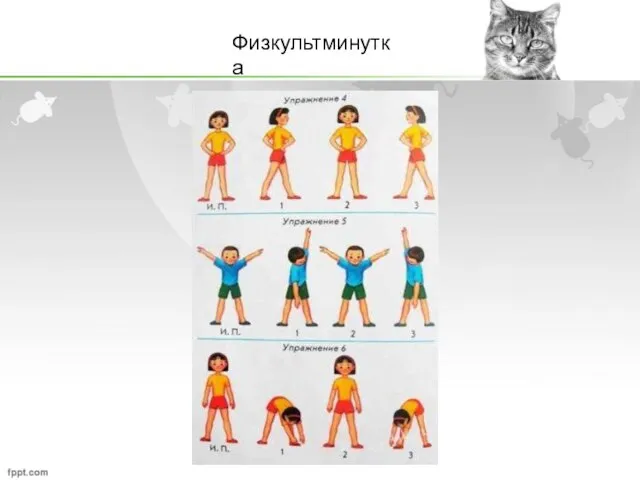 Физкультминутка