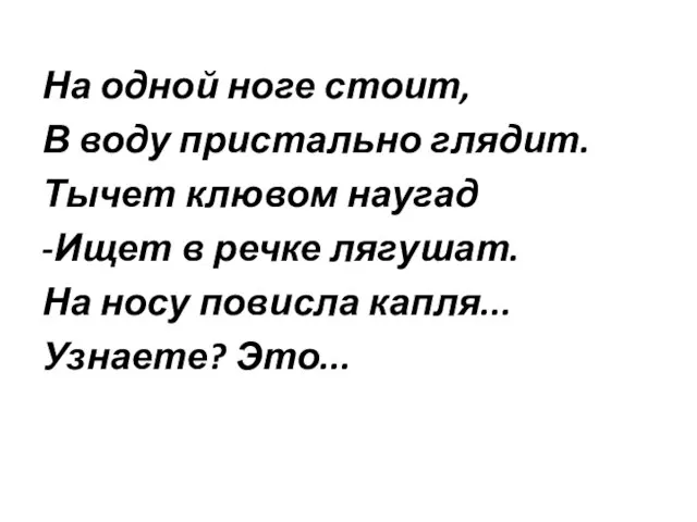 На одной ноге стоит, В воду пристально глядит. Тычет клювом наугад