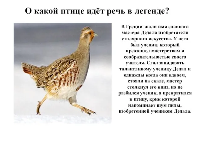 В Греции знали имя славного мастера Дедала изобретателя столярного искусства. У