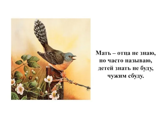 Мать – отца не знаю, но часто называю, детей знать не буду, чужим сбуду.