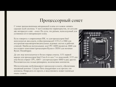 Процессорный сокет С точки зрения анатомия материнской платы его можно назвать