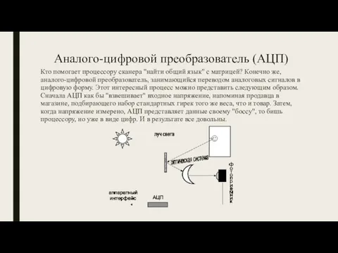 Аналого-цифровой преобразователь (АЦП) Кто помогает процессору сканера "найти общий язык" с